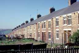 Newfield, 1972 11/1972 Newfield, 1972 11/1972